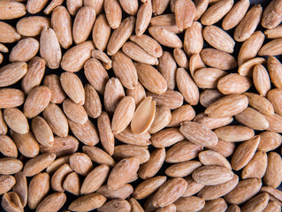 Background of almonds