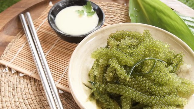 Umi-budou Seaweed or Green Caviar Healthy sea food or sea grapes seaweed on plate, Caulerpa lentillifera - sea grapes or green caviar.