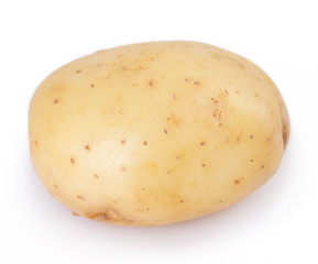 Raw potato on white background