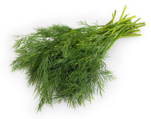 Fresh dill on white background