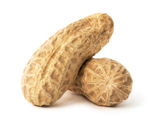 Dried peanuts on the white background.