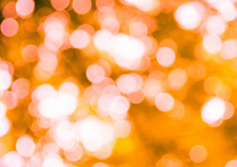 Obraz premium autumn background with sunny rays