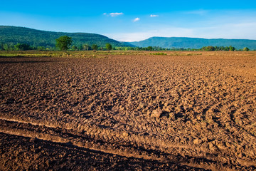 Plough Land