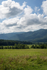 Fototapeta na wymiar Great Smoky Mountains