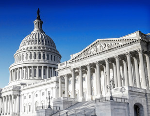 Obraz premium Washington DC - US Capitol building