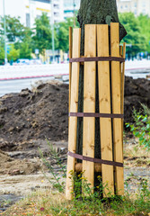 On a construction site trees are protected with boards
