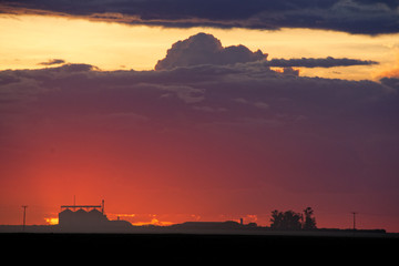 Sunset in a Brazilian farm