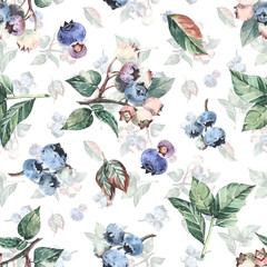 Seamless pattern with blueberry berries, in watercolor style. - 212938424