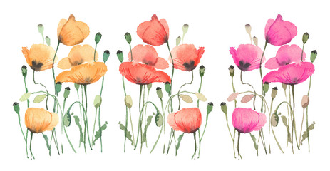 Pink, orange and red poppies on a white background, in a watercolor style.