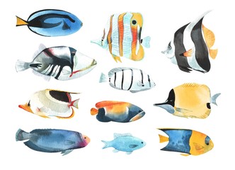 A set of tropical fish, in a watercolor style. - 212938637
