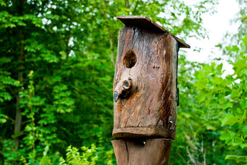 house for birds in park