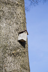 Bird house mounted on a tree trunk shot against a clear blue sky with copy space.