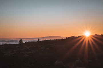 Obraz premium Nature and vulcanic landscapes in Tenerife, Spain