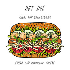 Hot Dog on a Wheat Bun with Sesame Seeds, with Gouda and Chedder Cheese, Tomato, Lettuce Salad. Fast Food Collection. Realistic Hand Drawn High Quality Vector Illustration. Doodle Style.