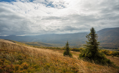 Fototapeta premium Beautiful mountains in Poland - Bieszczady