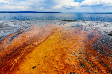 Colorful bacteria mats form near a Geyser in the West Thumb area in Yellowstone National Park.