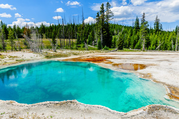 Hot springs in the West Thumb area in Yellowstone National Park