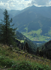 Abstieg ins Tal