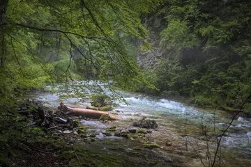 Fototapete Prachtige natuur in Slovenie in het Triglav nationale park © Tineke Jongewaard