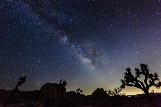 Night Shot of the Milky Way above Joshua Tree National Park