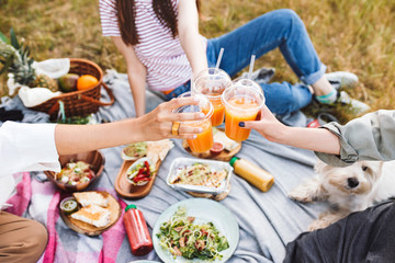 Close up photo of girls and little dog happily spending time on beautiful picnic with delicious...
