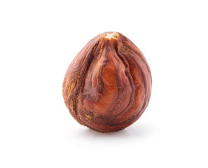 Hazel nut isolated on white background