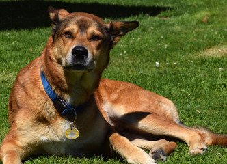 Khan bei seiner Lieblingsbeschäftigung