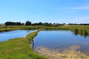 bassin de décantation avant fabrication du sel dans les marais salants en Vendée