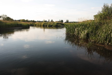Rzeka latem © Monika