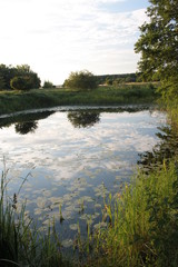 Niebo odbijające się w stawie © Monika