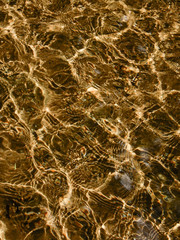 Caustic pattern produced by sunlight being refracted by the rippling water surface. The dispersion of light waves in water causes The dispersion of light waves in water causes the prism-like colors.