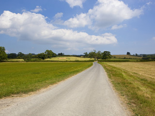 country road and clover fields