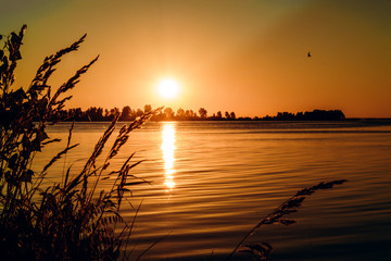 Sunrise over the river