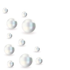 Pearls vector illustration. Pearls isolated on white backgorund with shadow. 3d natural oyster, pearls, shiny sea pearls.