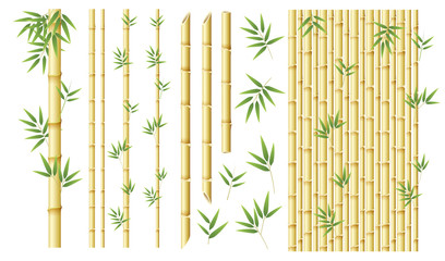 Fototapeta na wymiar Set of different bamboo