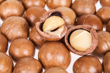 Macadamia nuts or Australian walnuts on white background
