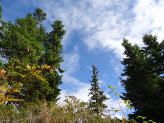 Fototapeta premium Hemsedal...Norway