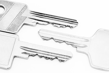 Schlüsselbärte im Detail