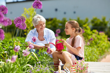 gardening, family and people concept - happy grandmother and granddaughter planting flowers at...
