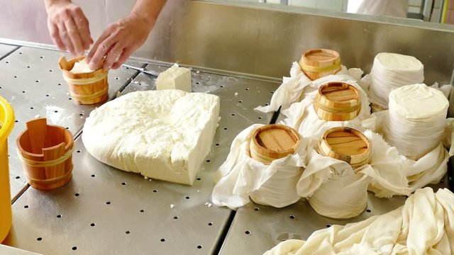 Process of cheese production in dairy factory, 4k Video Clip