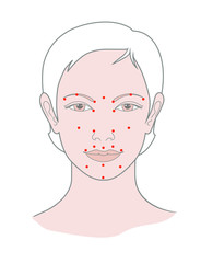 Shiatsu points face massage, acupuncture. Vector. Isolated on white background