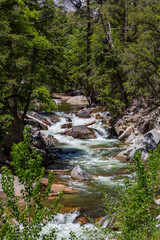 Mountain stream during spring