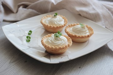Antipasti tartlets with gentle cheese mousse served with herbs on wooden grey texture background with textile.
