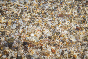 Live crab sitting on small stones in the sea