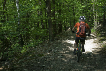 Fototapeta premium man uses an electric bicycle, e-bike, ebike, pedal on a dirt road, in a forest, during summer, mountain, sport, adventure, freedom, Lake Maggiore, Italy