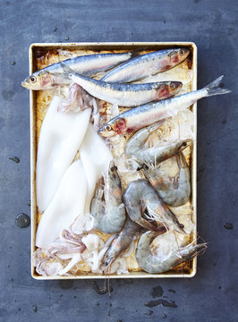 Fresh seafood on metal tray