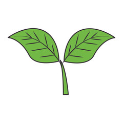 leafs plant ecology emblem