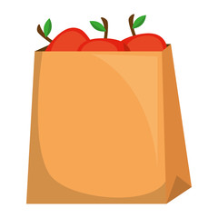 fresh tomatoes in shopping bag