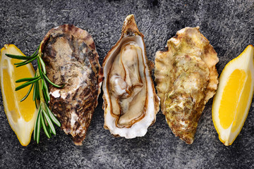 Fresh oysters with lemon and rosemary © Yulia Furman