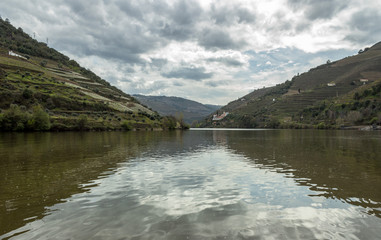 Pinhão